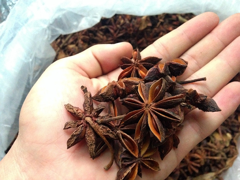 Hình ảnh hoa hồi
