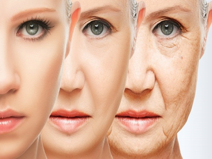 Hoa đậu biếc giúp ngăn ngừa láo hóa da