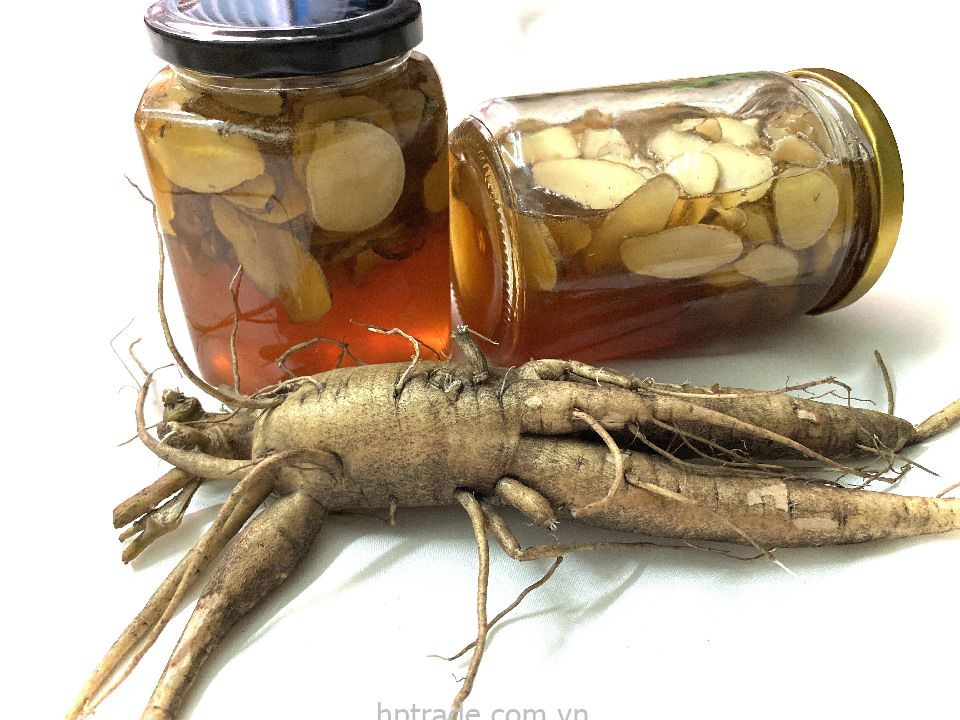 Sâm bố chính ngâm mật ong