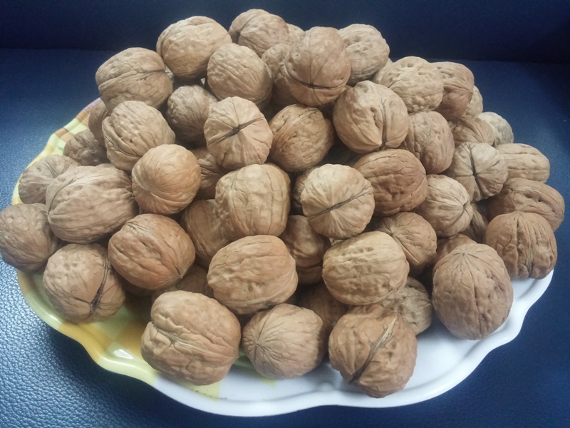 Quả óc chó Việt Nam